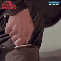 Martial Arts Fighting GIF by Arrow Video