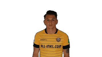 Bundesliga Celebrate Sticker by SG Dynamo Dresden