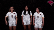 Soccer GIF by CUCougars