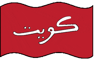 Flag Arab GIF by ecruonline