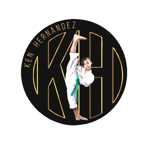 Ken Testing Sticker by Leveluptaekwondo