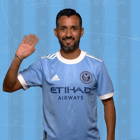 Major League Soccer Reaction GIF by NYCFC