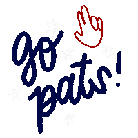 Nfl Preseason Patriots Sticker