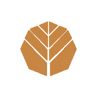 ciprescreative travel tree leaves viaje Sticker