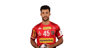 HandballAustria handball ohb handball austria eric damböck Sticker