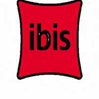 ibis_Saint-Petersburg  GIF