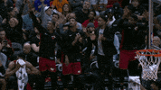 Miami Heat GIF by NBA