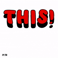 Animal Rights GIF by PETA