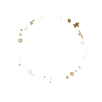 Bling Sticker by eerseart