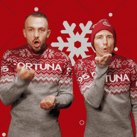 Happy Christmas GIF by Fortuna Düsseldorf