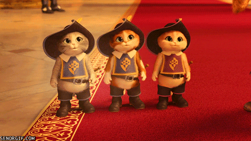 fail puss in boots GIF by Cheezburger