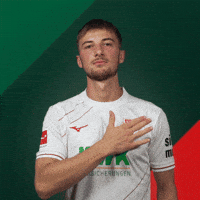 Logo Bundesliga GIF by FC Augsburg 1907