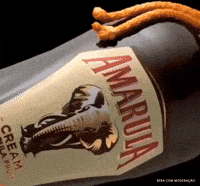 amarula_brasil amarula GIF