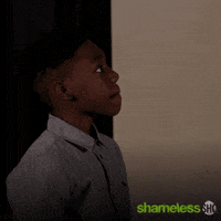 Season 10 Showtime GIF by Shameless