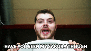 Esports Sakura GIF by Tempo Storm