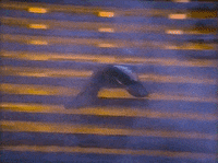 Saturday Night Television GIF