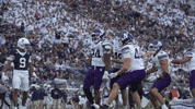 Northwestern Football Wildcats GIF by Northwestern Athletics