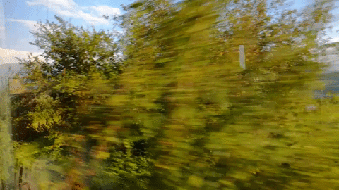 carpathian mountains train GIF