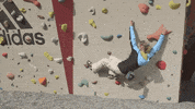 climbing austria GIF by Tirol