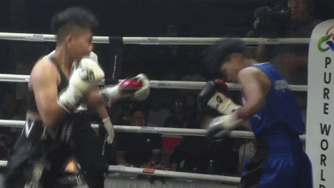 namtrung138 giphyupload boxinghcm thunhi GIF