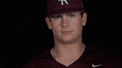 Littlerockbsb2021 GIF by Little Rock Athletics