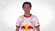 Red Bull Sport GIF by FC Red Bull Salzburg