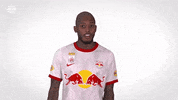 Come On Sport GIF by FC Red Bull Salzburg