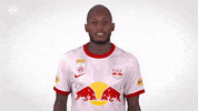 Red Bull Sport GIF by FC Red Bull Salzburg