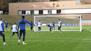 England Football Team GIF by England