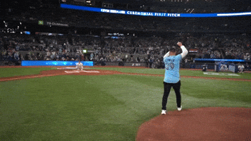 Blue Jays Sport GIF by MLB