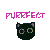 thecattomtom cat blackcat purr tomtom Sticker