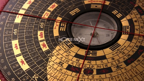 HomeNext giphyupload GIF