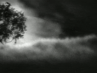 f. w. murnau film GIF by Maudit