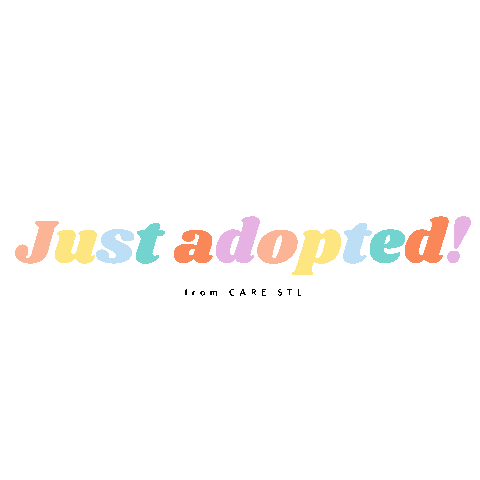 carestl giphyupload adopt carestl icarestl Sticker