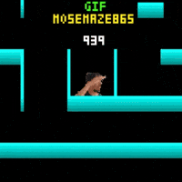 Maze 865 Mose GIF
