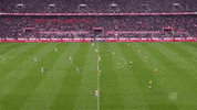simon terodde soccer GIF by 1. FC Köln