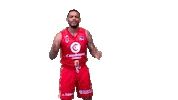 Vamos Lets Go Sticker by ACB