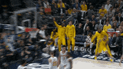 happy indiana GIF by NBA