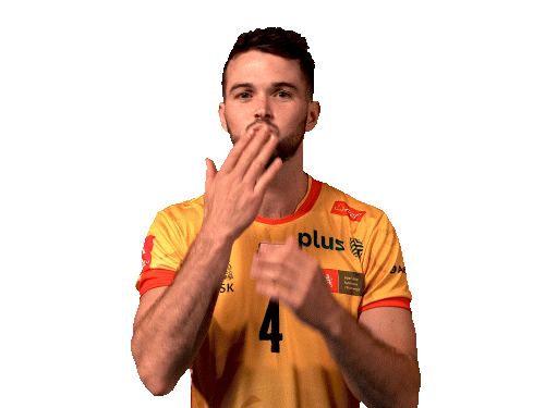 Team Kiss Sticker by trefl_gdansk