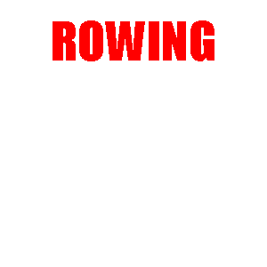 lit af low impact training Sticker by LIT Method