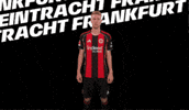 Celebration Bundesliga GIF by Eintracht Frankfurt