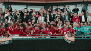 Happy Wembley Stadium GIF by Salford City FC