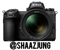 Nikon Shaaznikon Sticker by NikonIndia