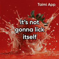 Its Not Gonna Lick Itself GIF by Taimi