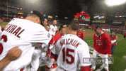 2014-10-12 lol GIF by MLB