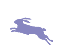 La Ferme Rabbit Sticker by A PET STORE