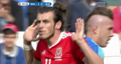 euro 2016 GIF by Sporza