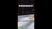 SunriseInvesting snow winter vibes running GIF