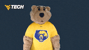 West Virginia Yes GIF by WVU Tech Golden Bears