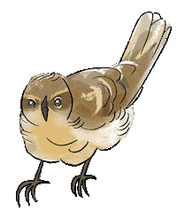 Illustration Vogel Sticker by Naturschule fernundaktiv